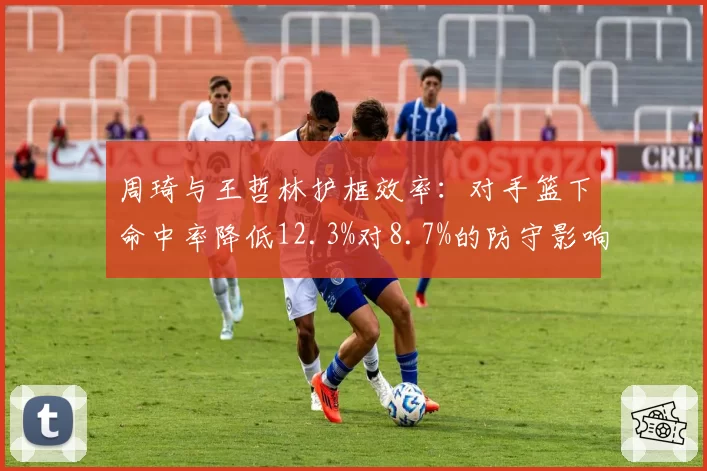 周琦与王哲林护框效率：对手篮下命中率降低12.3%对8.7%的防守影响力