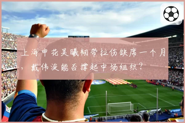 上海申花吴曦韧带拉伤缺席一个月，戴伟浚能否撑起中场组织？